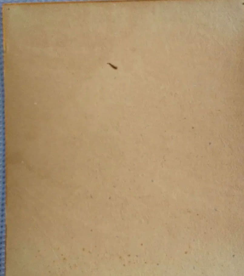 昭和のお宝！懐かしのON砲 直筆サイン、YGロゴ付き色紙