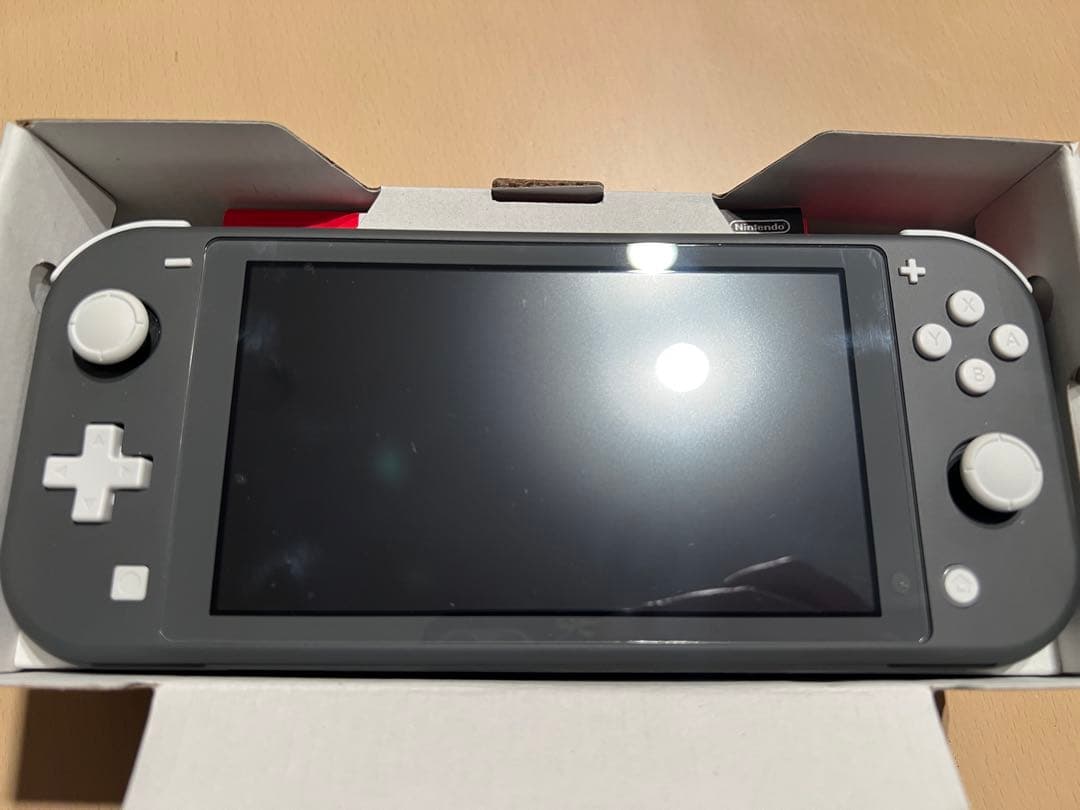 Nintendo Switch Lite グレー + Splatoon 2