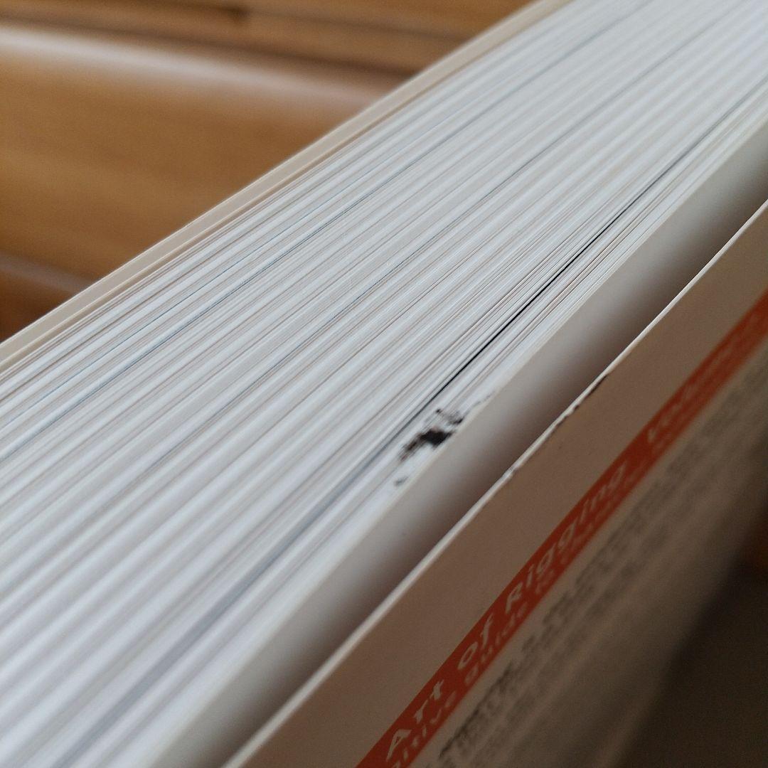 アート・デザイン・音楽 The Art of Rigging + DVD: A Definitiv m3