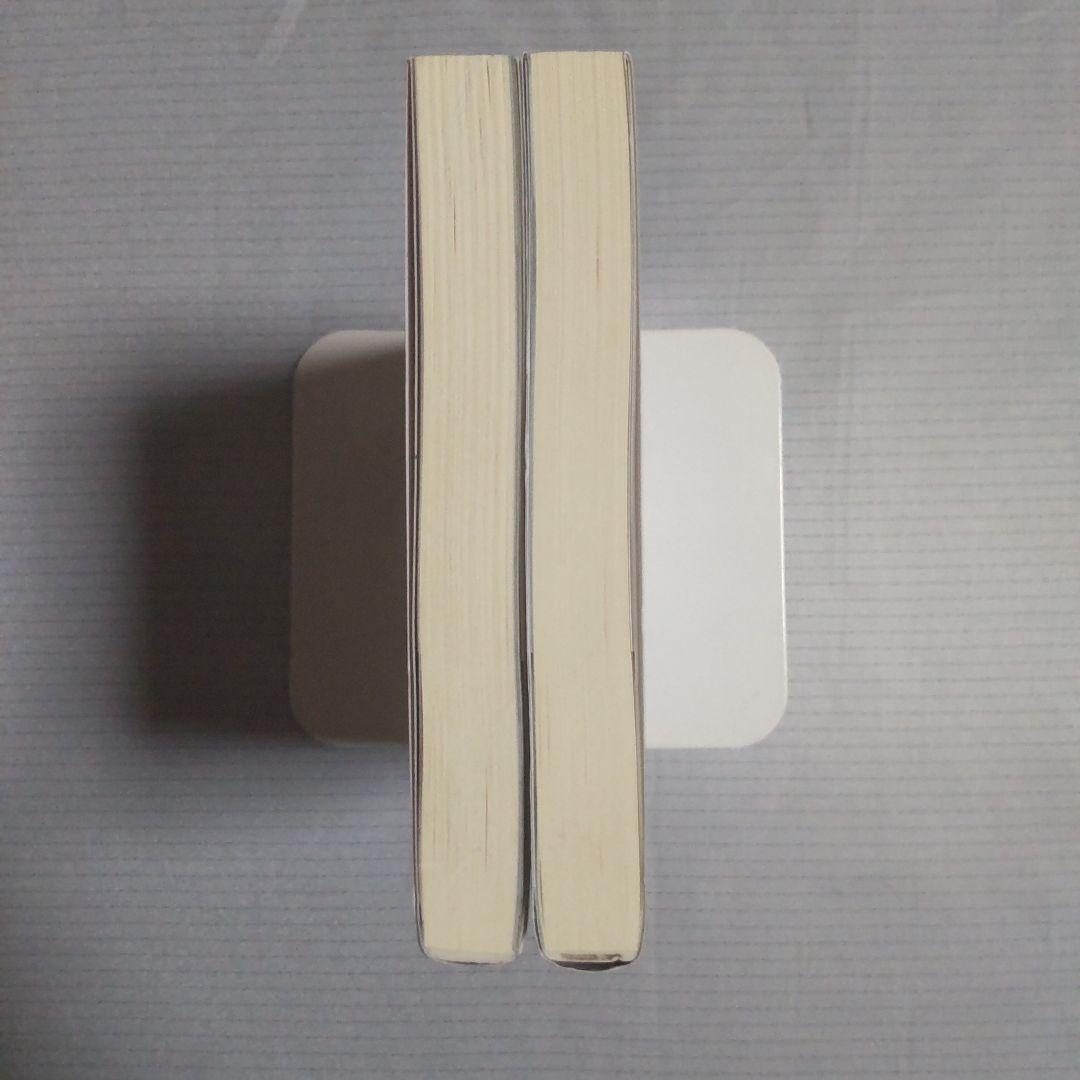 パイレーティカ 女海賊アートの冒険 上巻下巻セット タニス・リー ルルル文庫