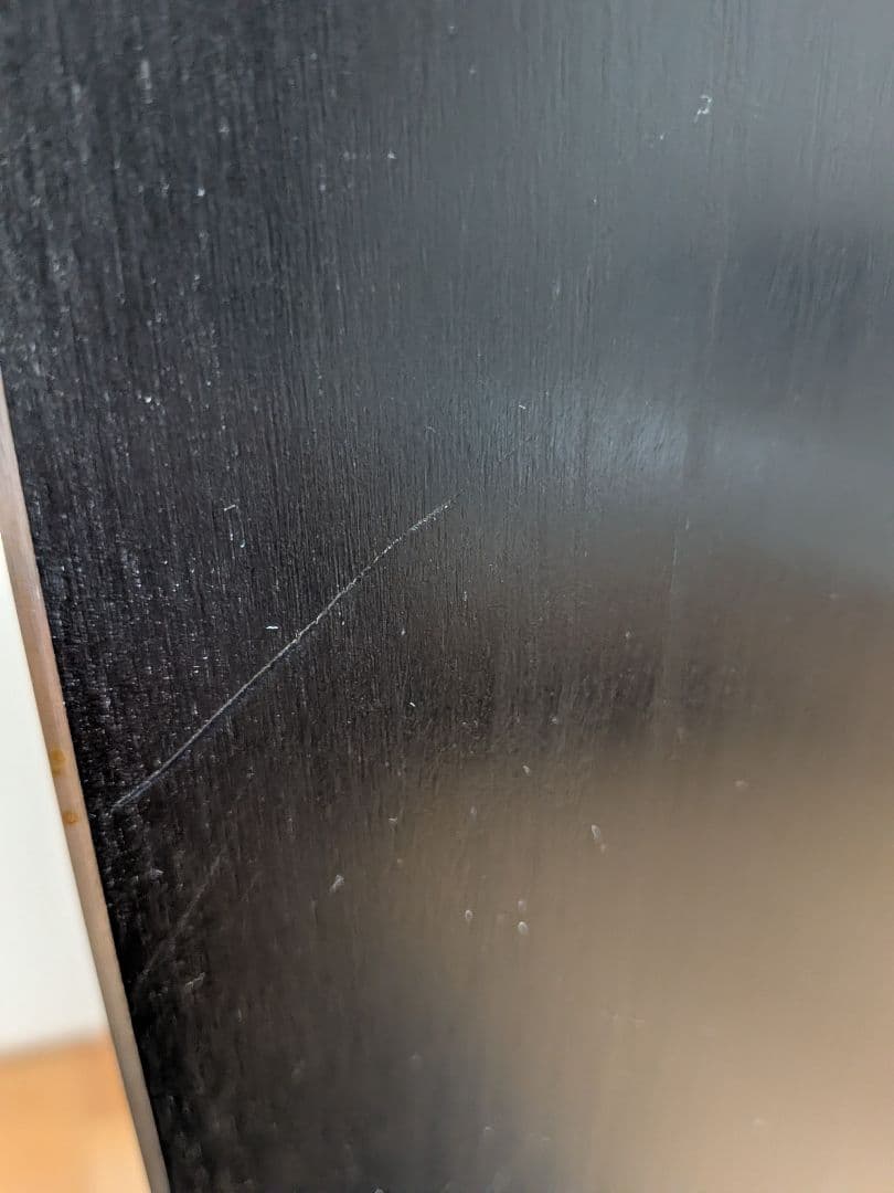 Niseko Pleasures 156cm ニセコプレジャーズ 156　レア