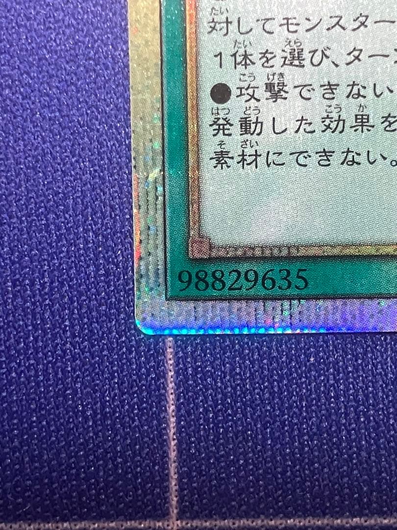 禁じられた聖冠 プリシク