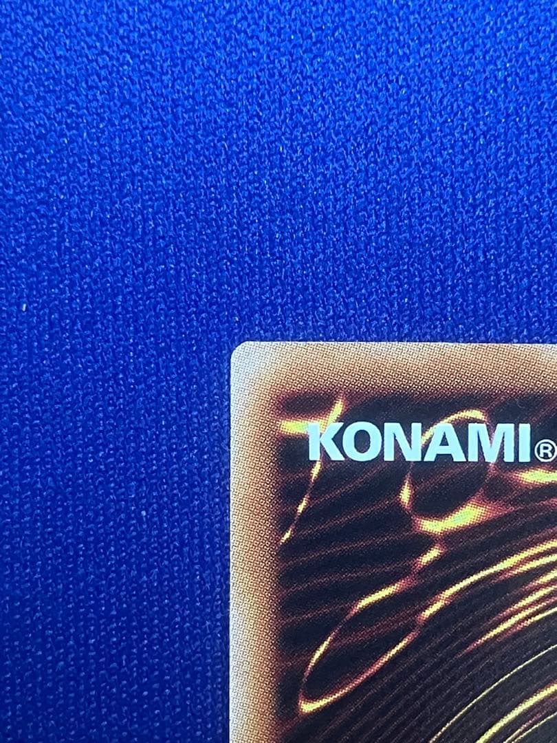 禁じられた聖冠 プリシク