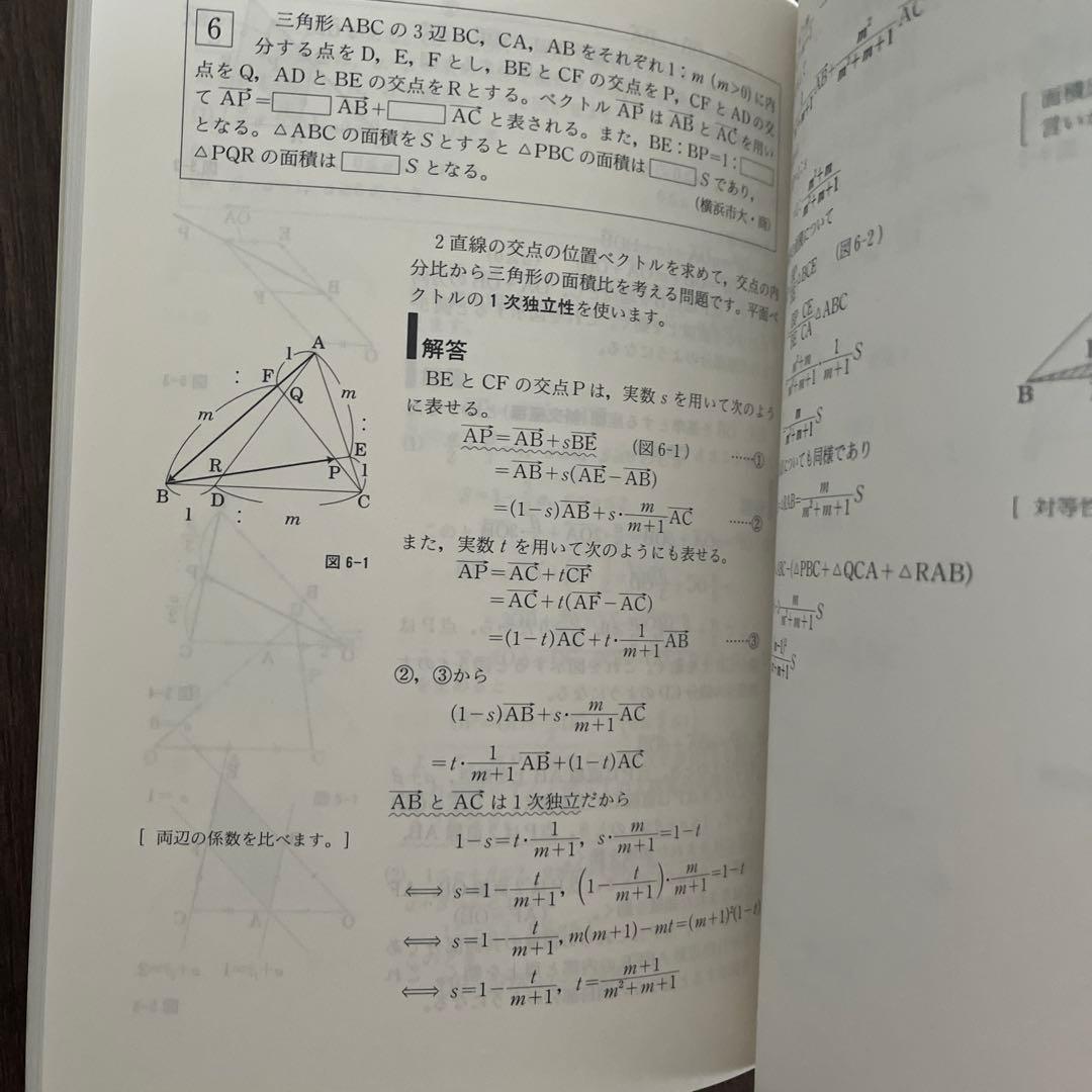 10日間のベクトル 大学入試数学問題集　小島敏久