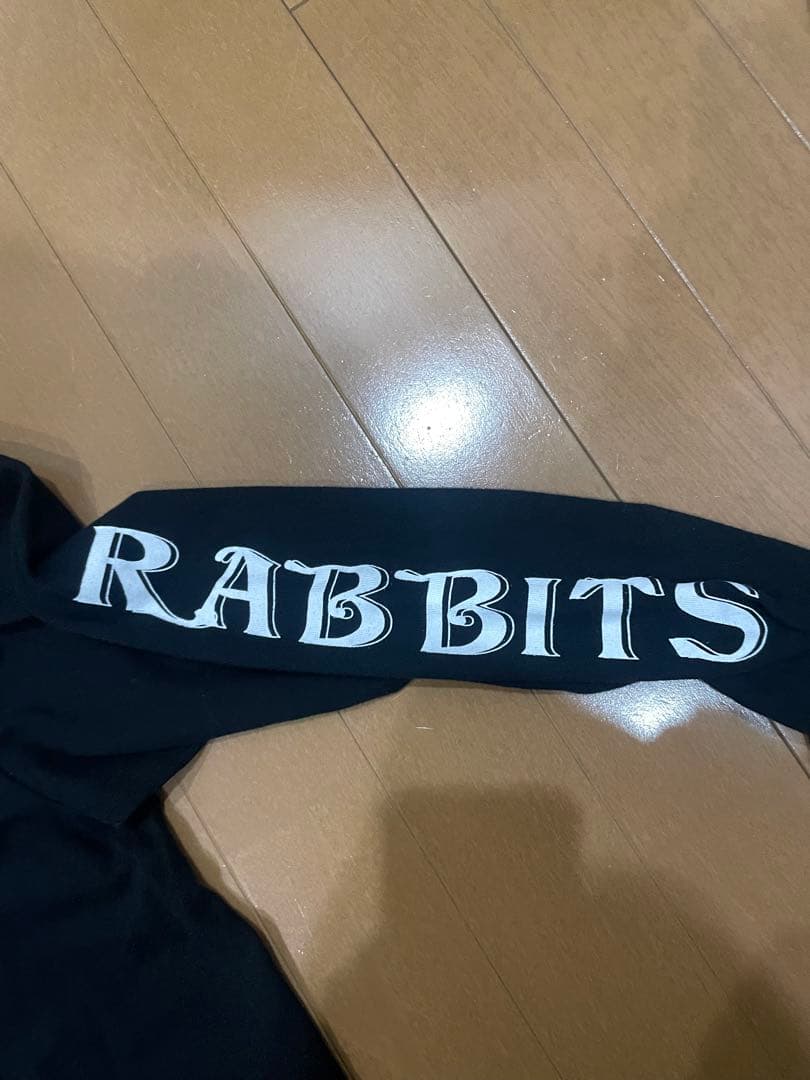 【希少】#FR2 FXXKING RABBITS ロンT 完売モデル ウサギ