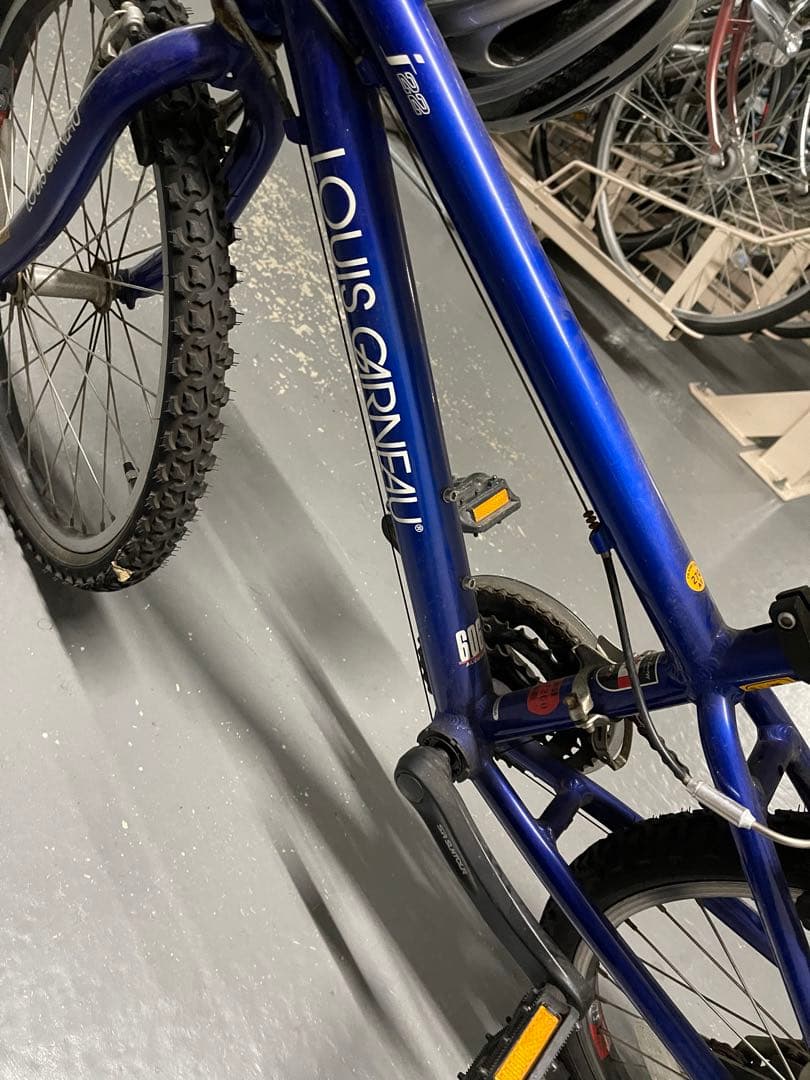 ルイガノ　J22 キッズバイク