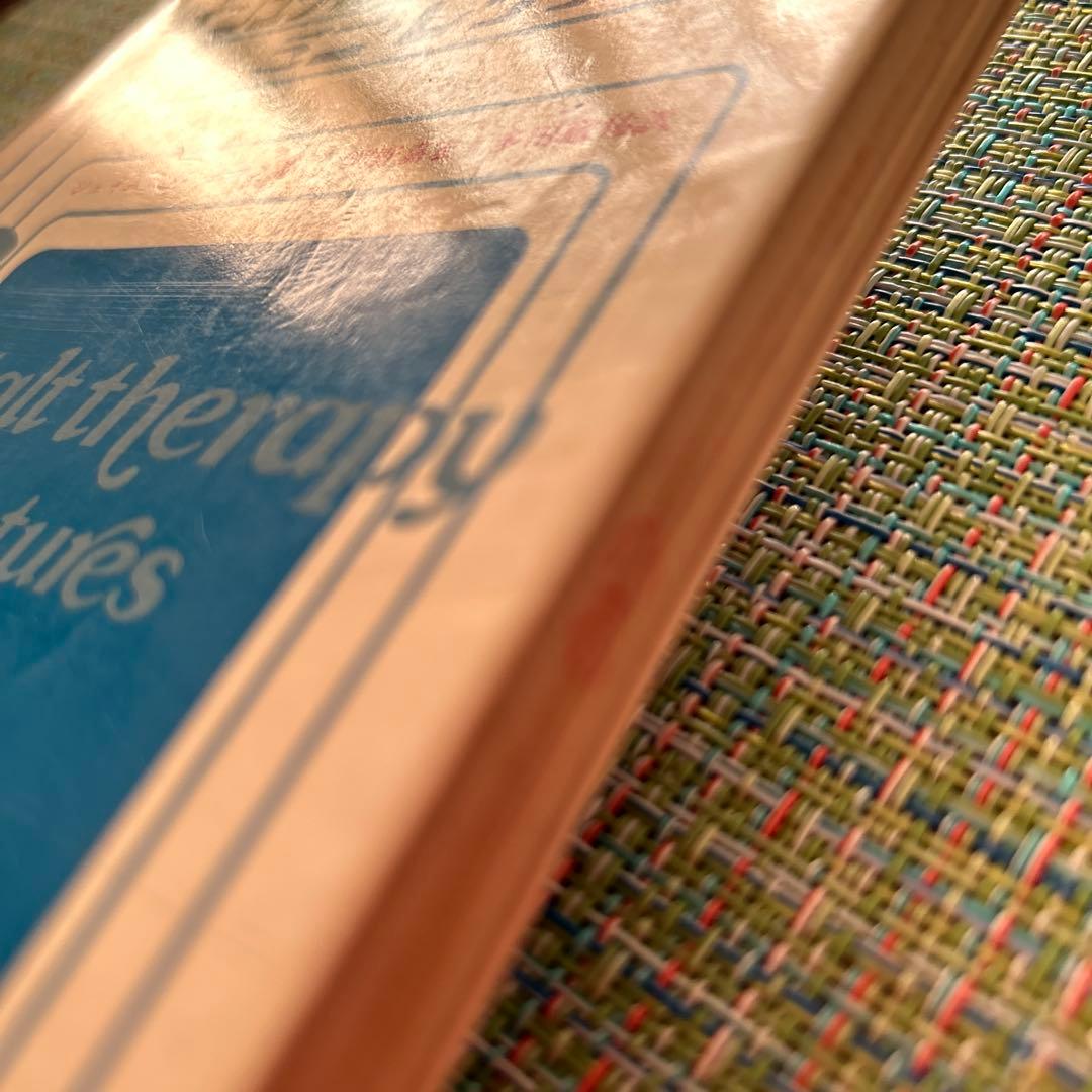 ゲシュタルト・セラピー ミニ・レクチャー