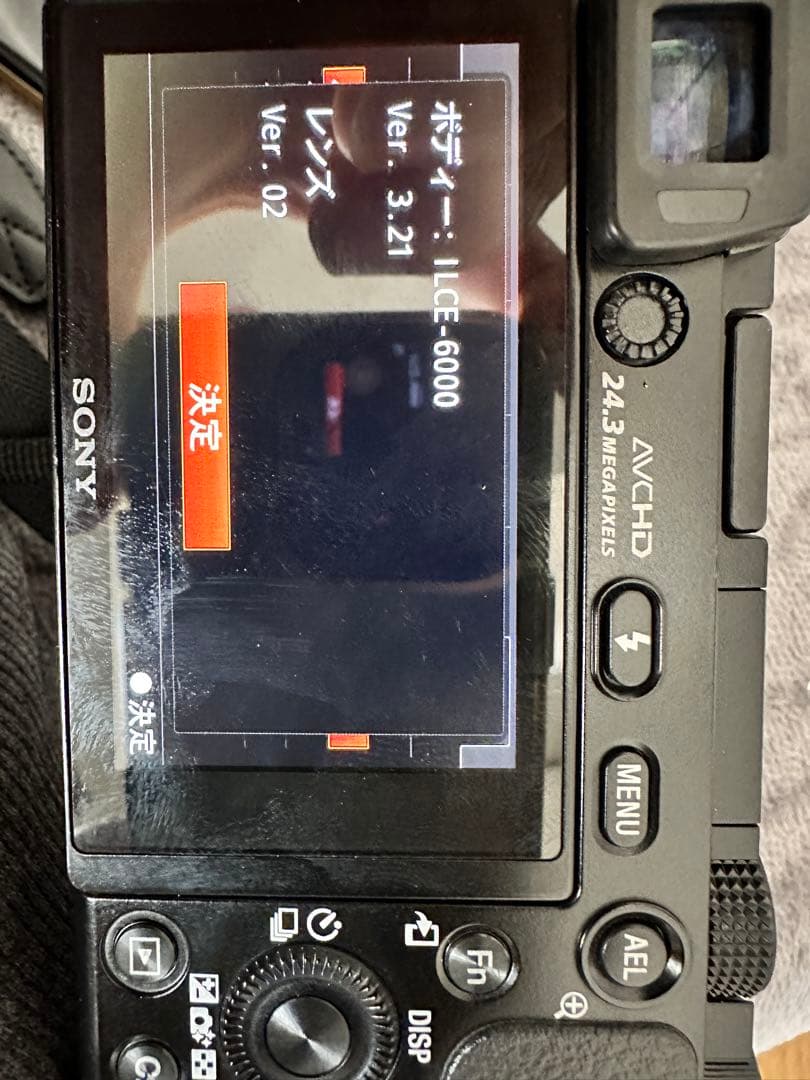 SONY E 18-200mm F3.5-6.3 OSS レンズ