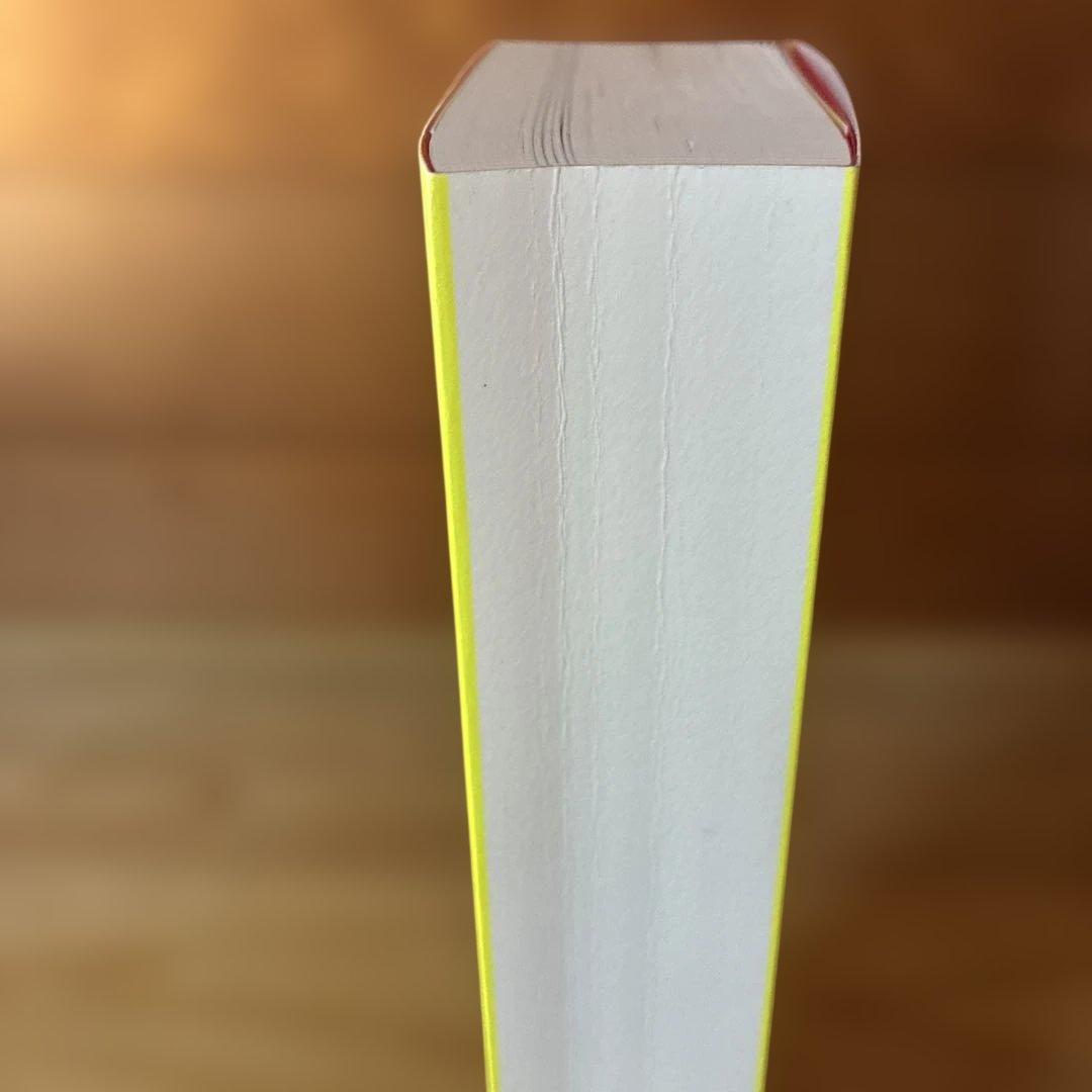 石川真生 【図録】私に何ができるか