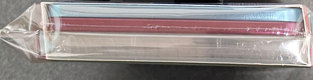 Switch Grapple Dog グラップルドッグ スチールブック付き限定版