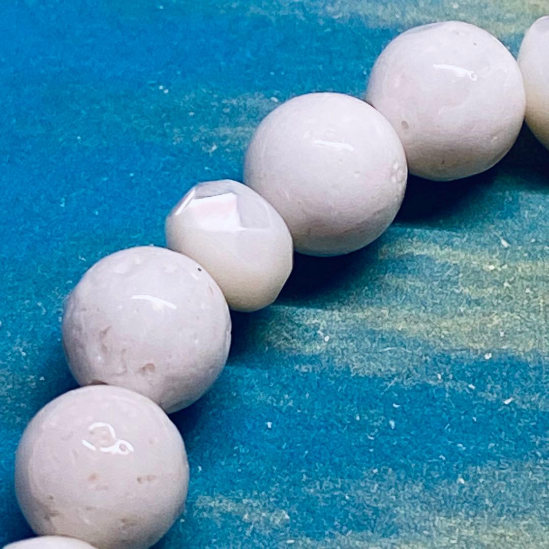 おかゆ　【2点】