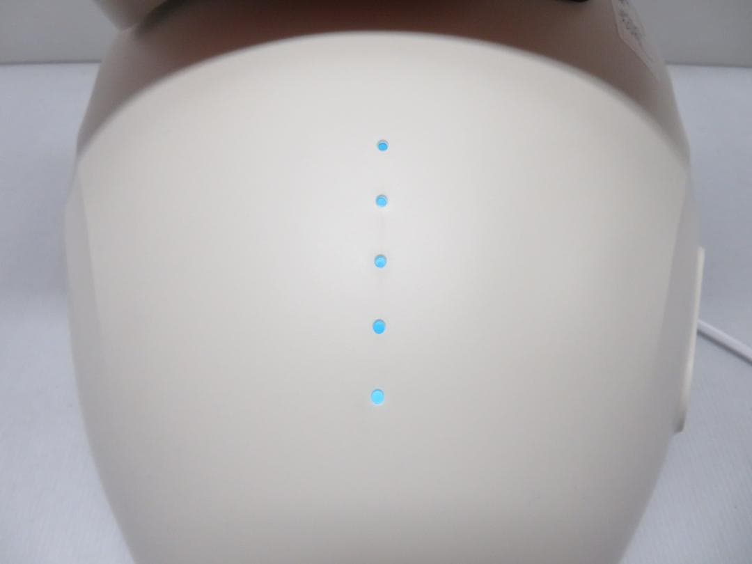 ATEX アテックス ゆらゆら健康器 AX-FY919 付属完品 エクササイズ