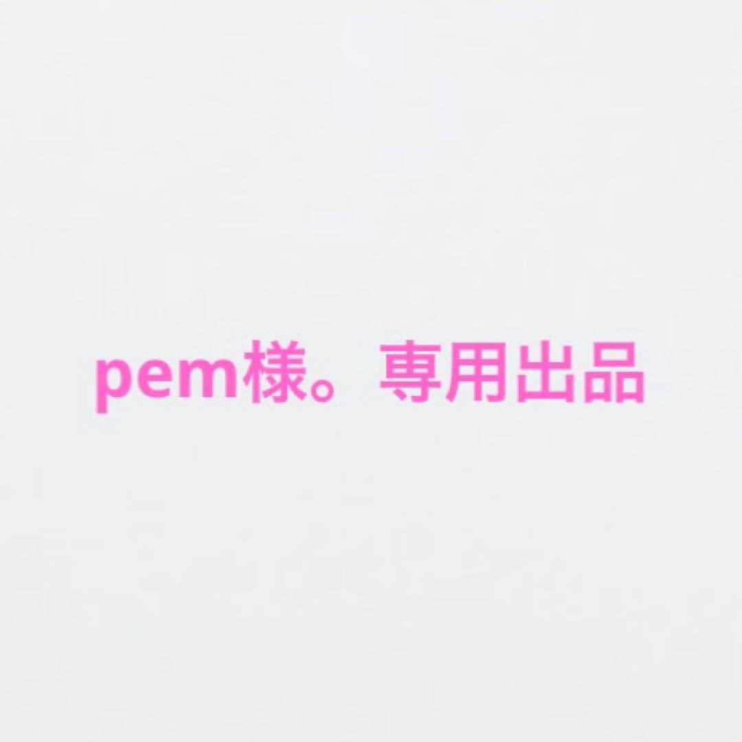 pem。Typology L32 D41 2点