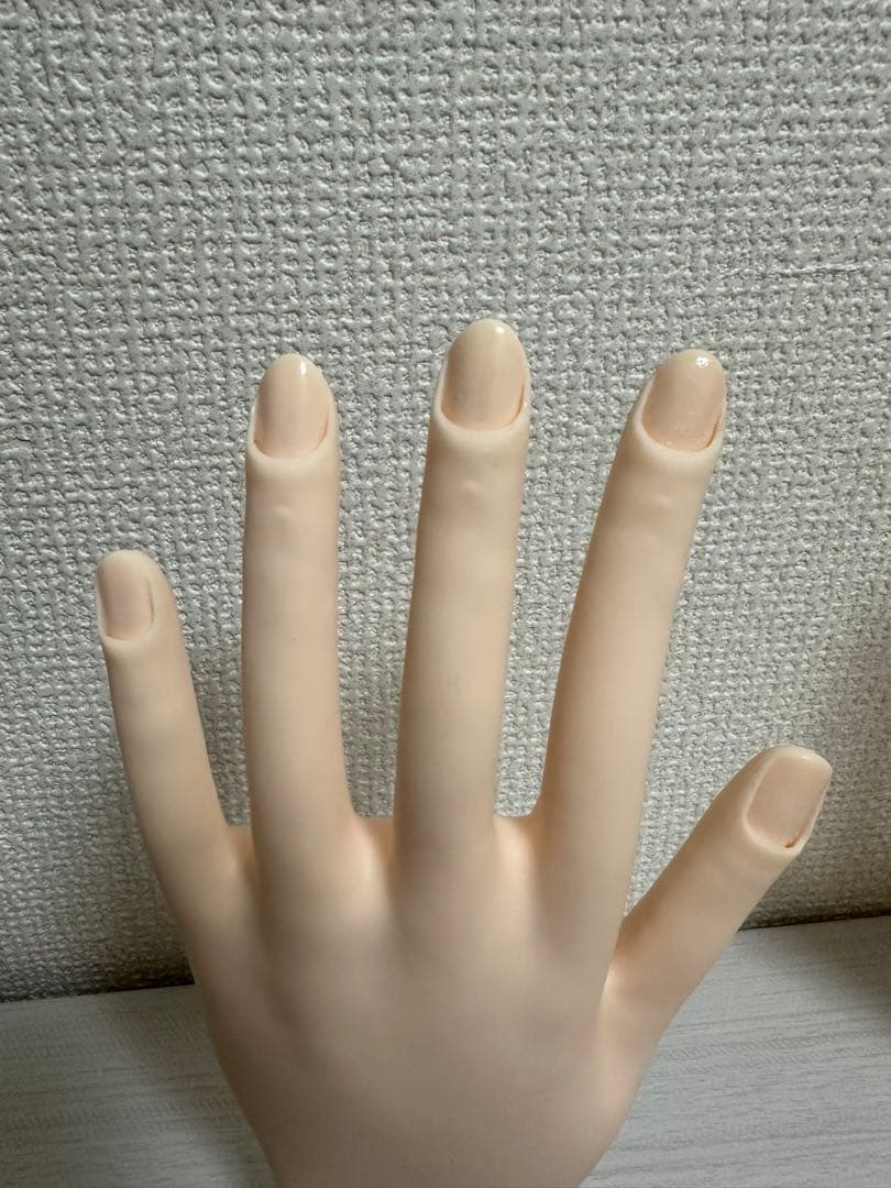 ネイリスト技能検定試験用 JNEC認定 STモデルハンドセット