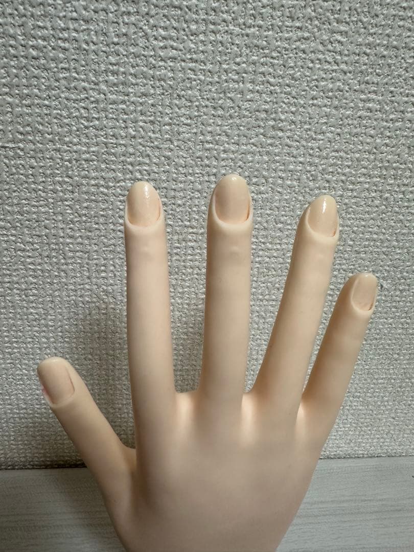 ネイリスト技能検定試験用 JNEC認定 STモデルハンドセット