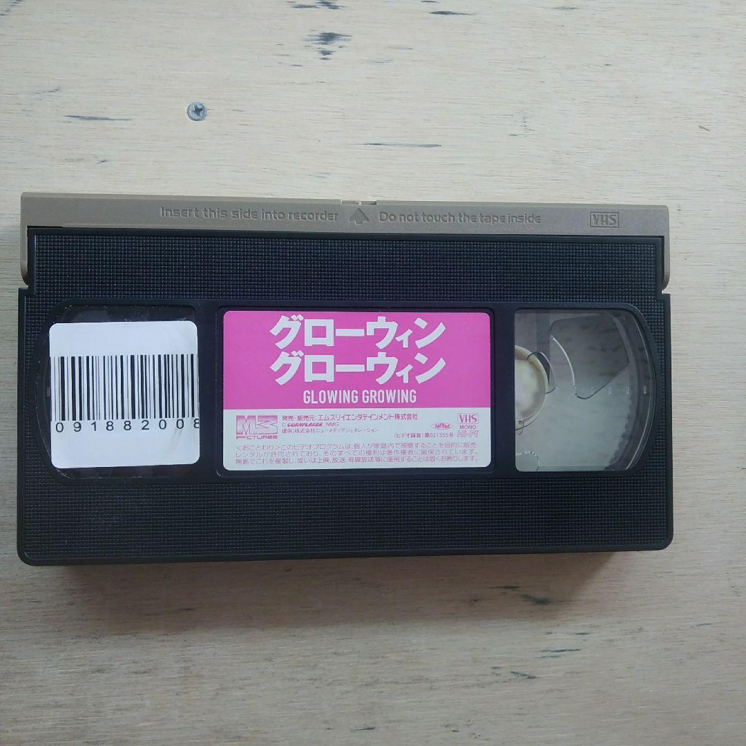 グローウィン グローウィン　VHS