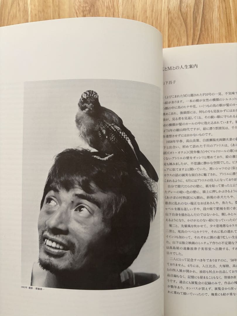 山下菊二展 Kikuji Yamashita 図録 1996年