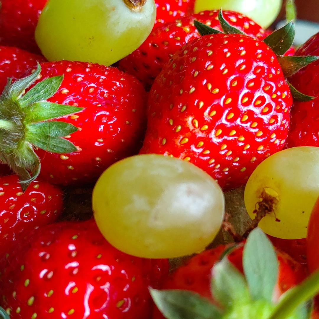 あきんこ様確認用〖続〗