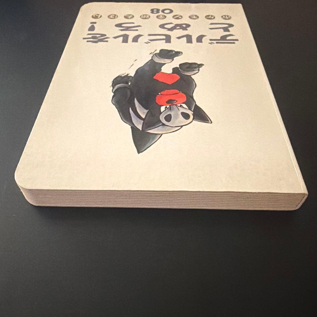 ポケモン金銀えほん　デルビルをとめろ！08【絶版本入手困難希少】