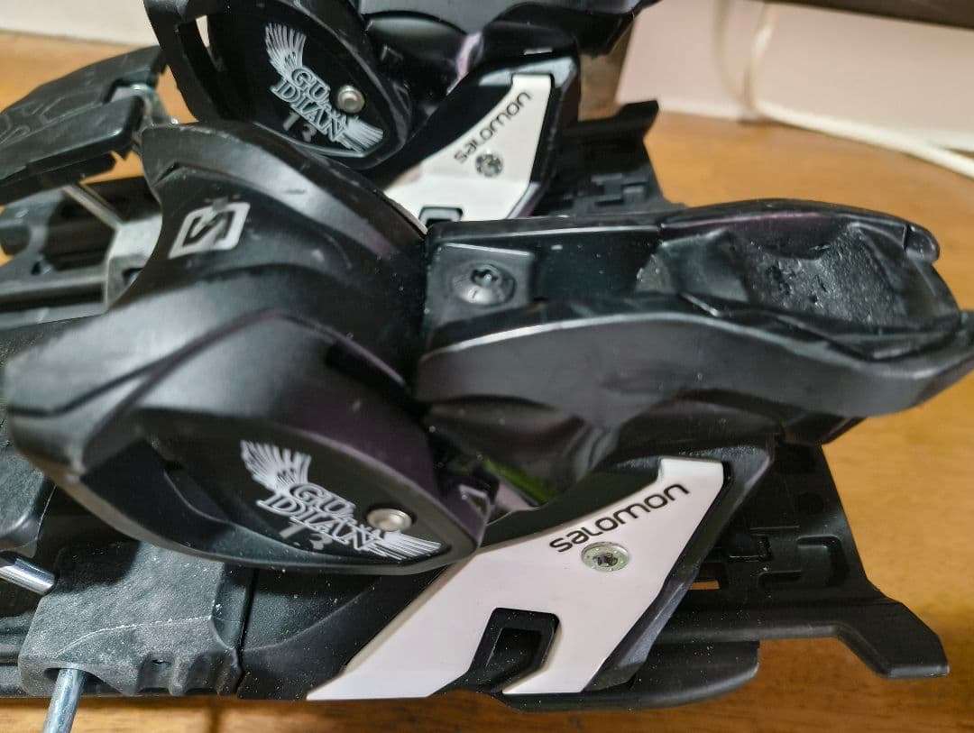 Salomon Guardian 13 サロモン ガーディアン