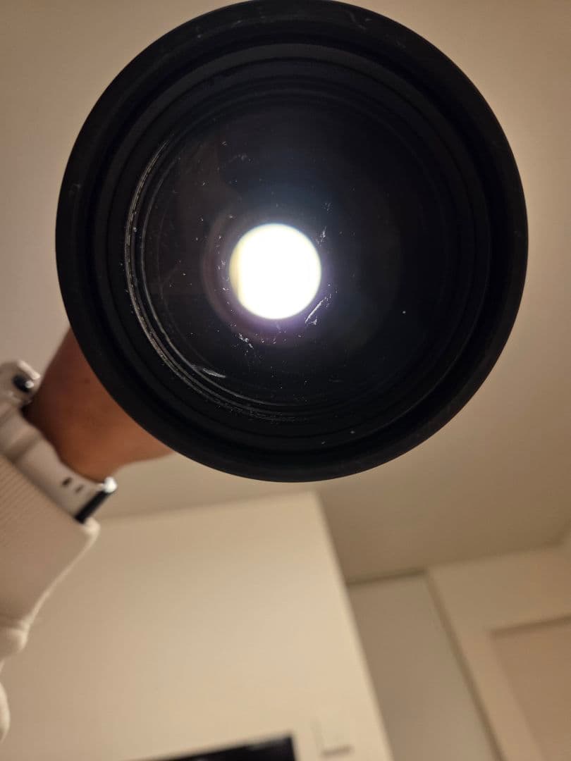 Canon EF 300mm f/4 単焦点レンズ