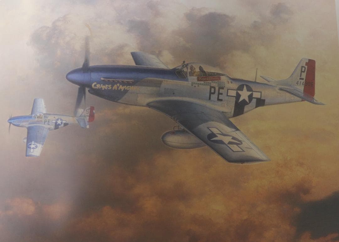 希少　フライング・カラーズ 4（Flying Colors 4）小池繫夫　中古本