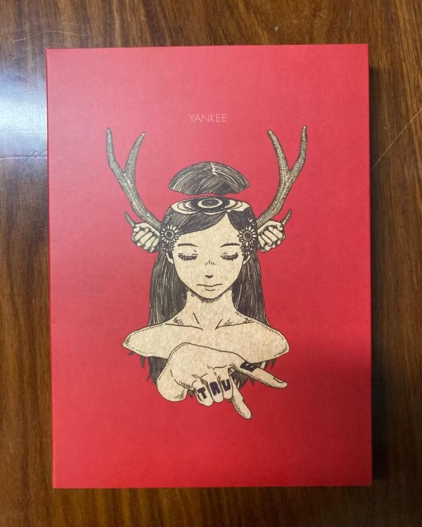 米津玄師 YANKEE 初回限定画集版