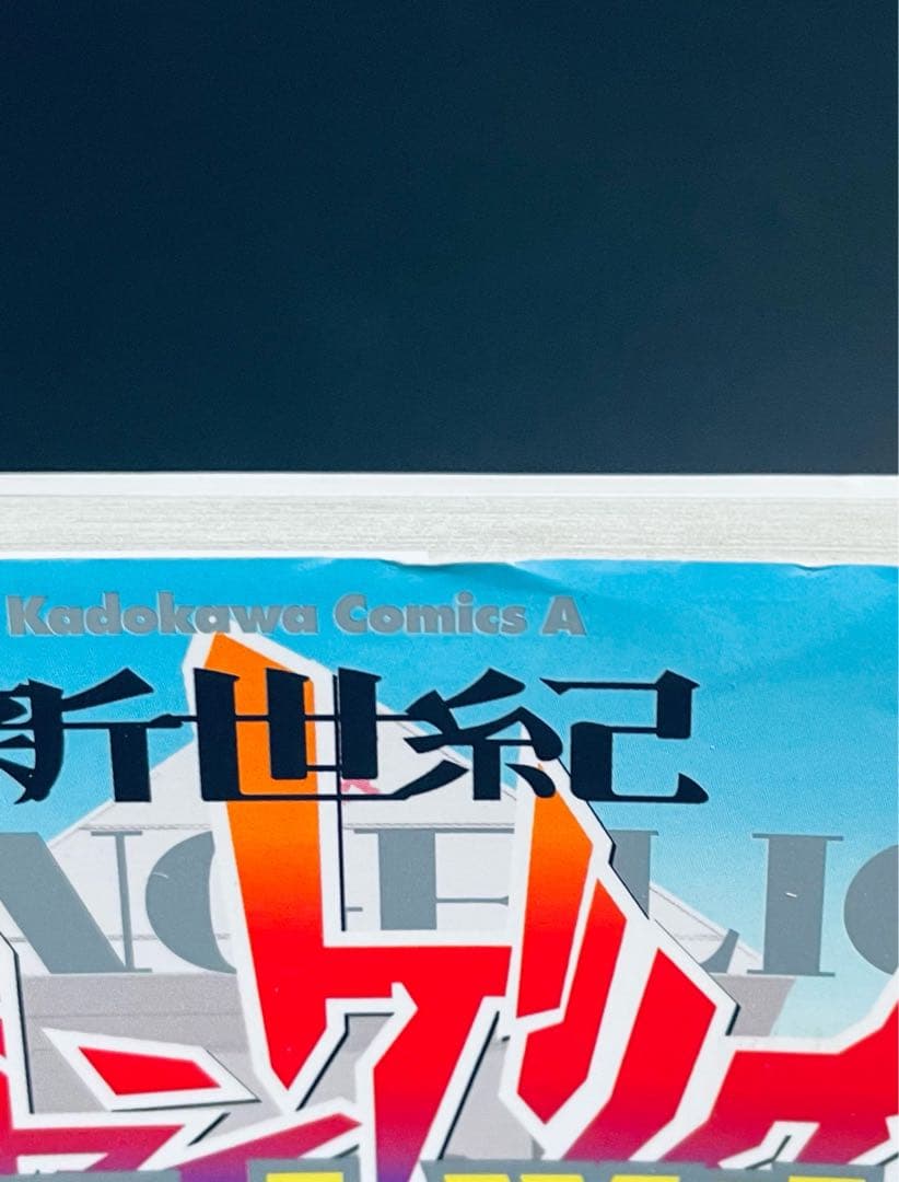 碇シンジ育成計画•エヴァンゲリオンピコピコ中学生伝説 全巻セット