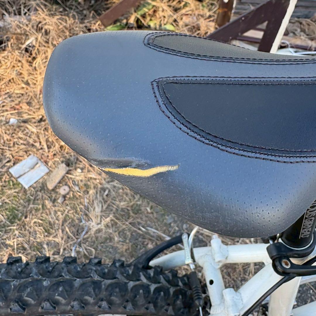 無料配送エリアあり　LOUIS GARNEAU マウンテンバイク　自転車