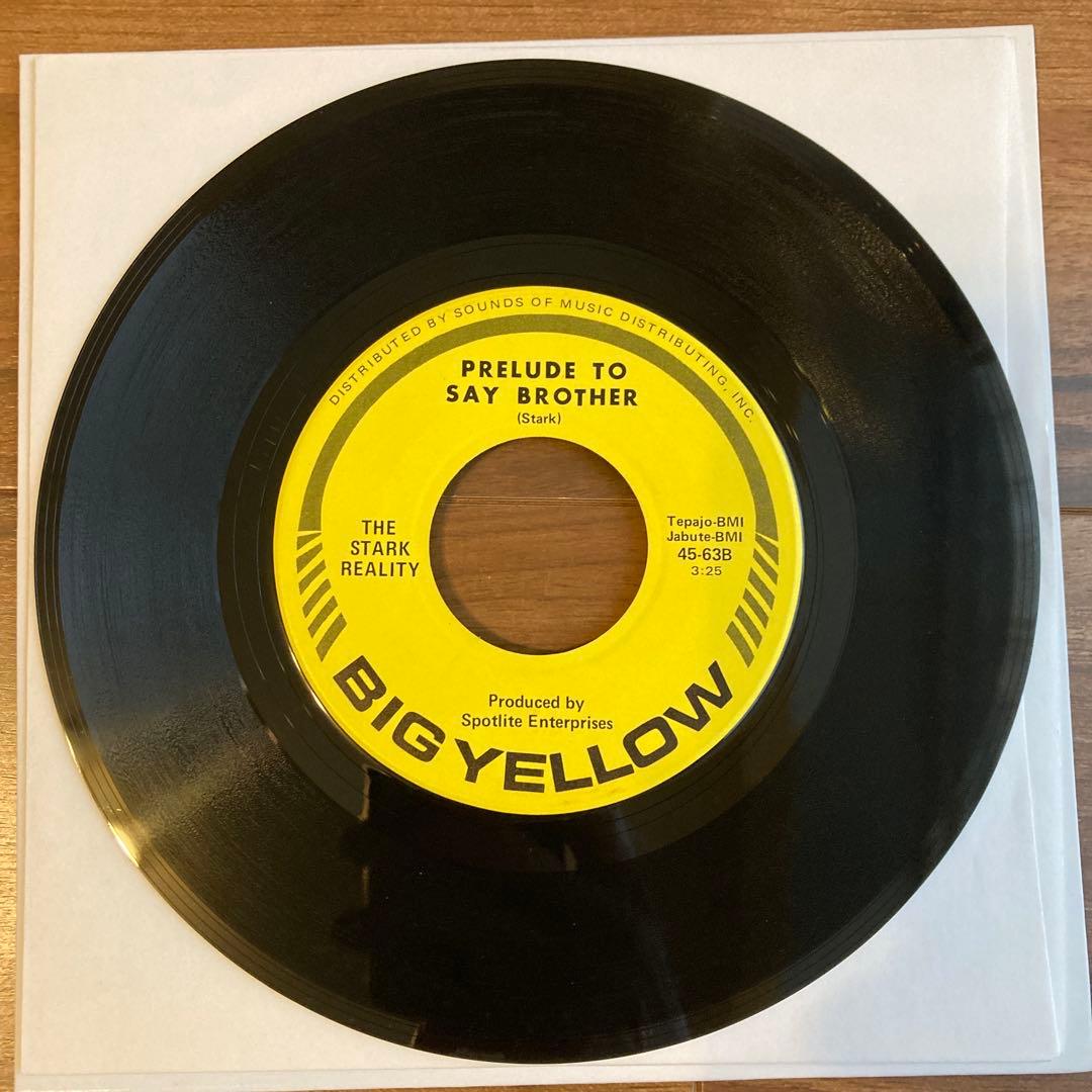THE STARK REALITY Say Brother 7インチ