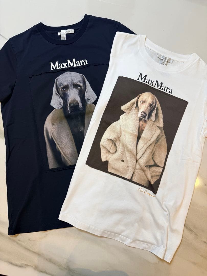 【美品】クリーニング済　マックスマーラTシャツ 2枚セット