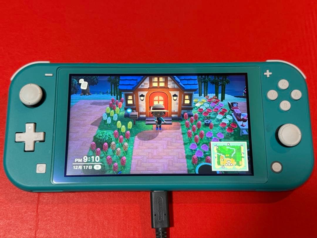 Nintendo Switch Lite 本体(ケース付)・どうぶつの森ソフト