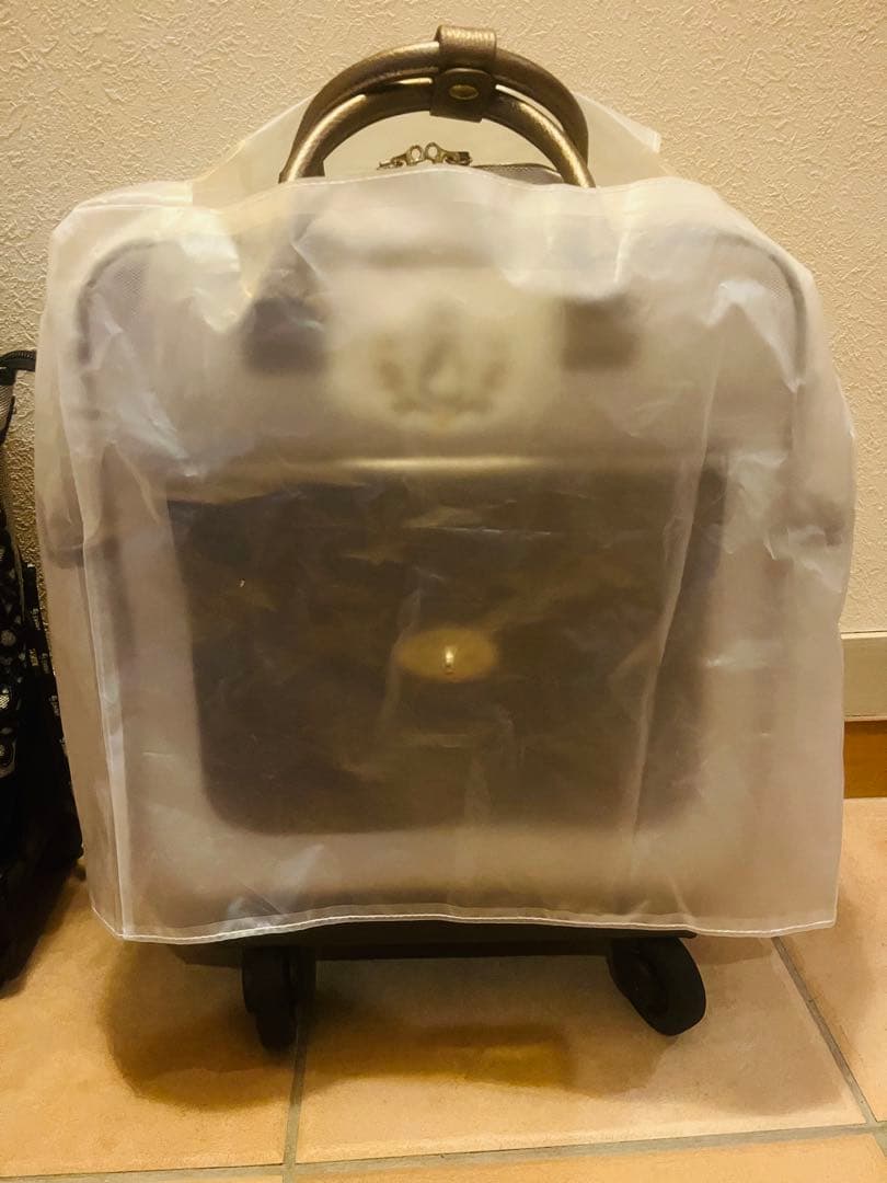 スワニーキャリーバッグ　ピーターラビット