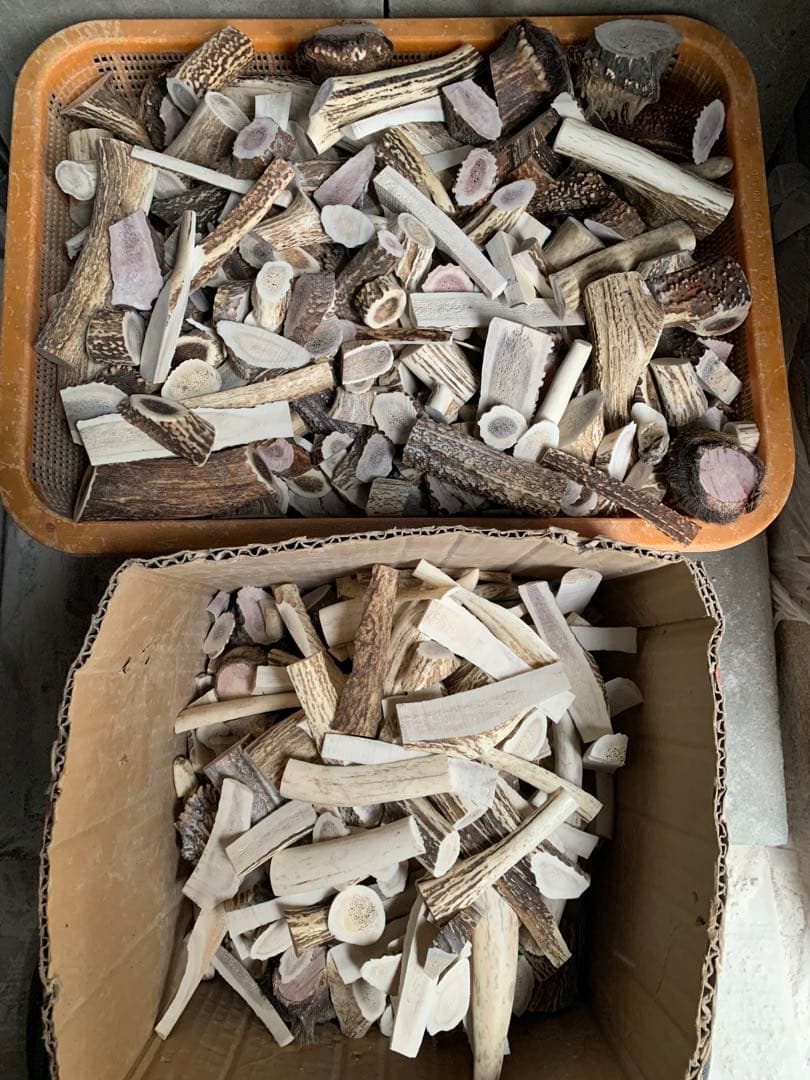 No.2182『鹿角加工材23kgセット』鹿の角　エゾ鹿　鹿角　蝦夷鹿