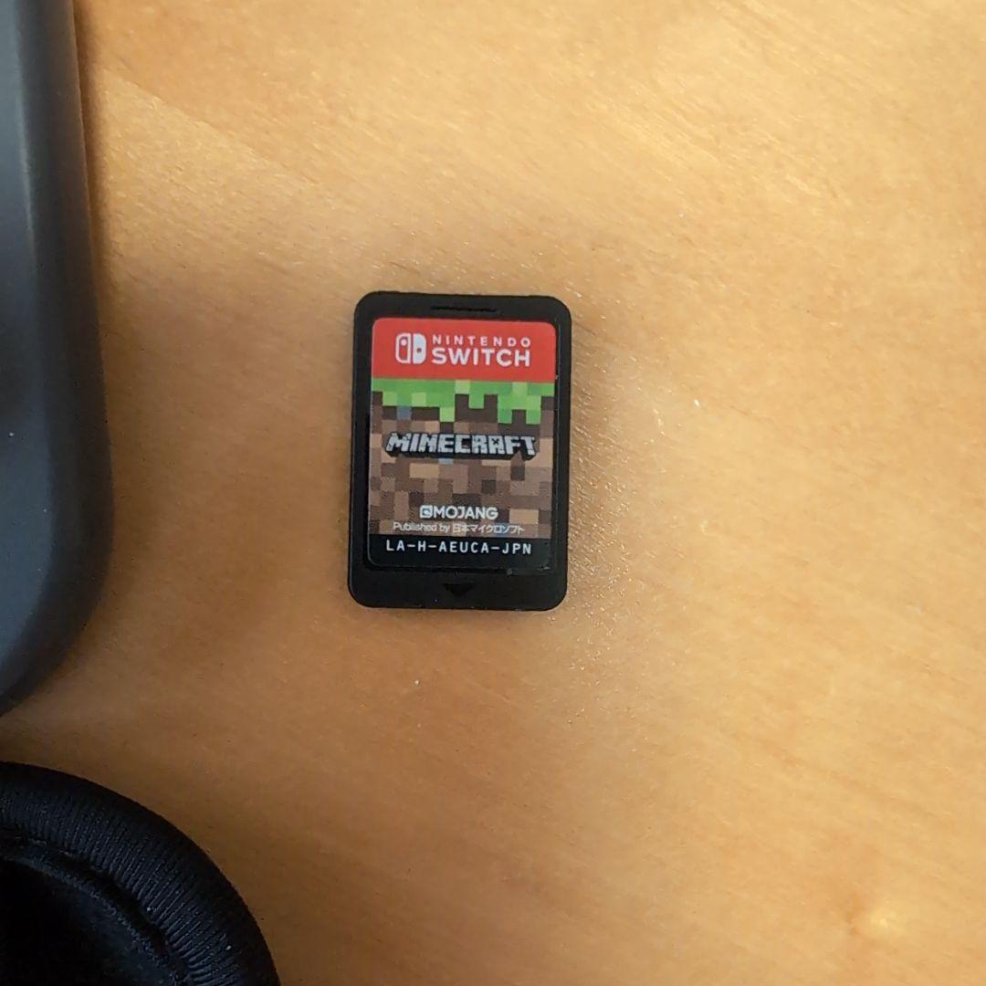 Nintendo Switch Lite + コントローラー その他もろもろ