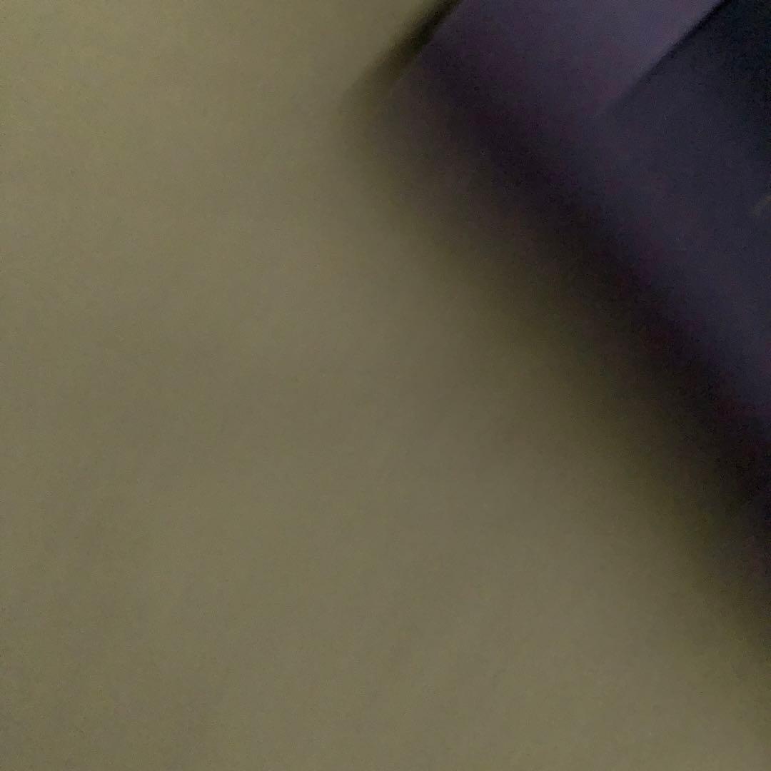 ファイアーエムブレム 風花雪月　特別版　特典のみ