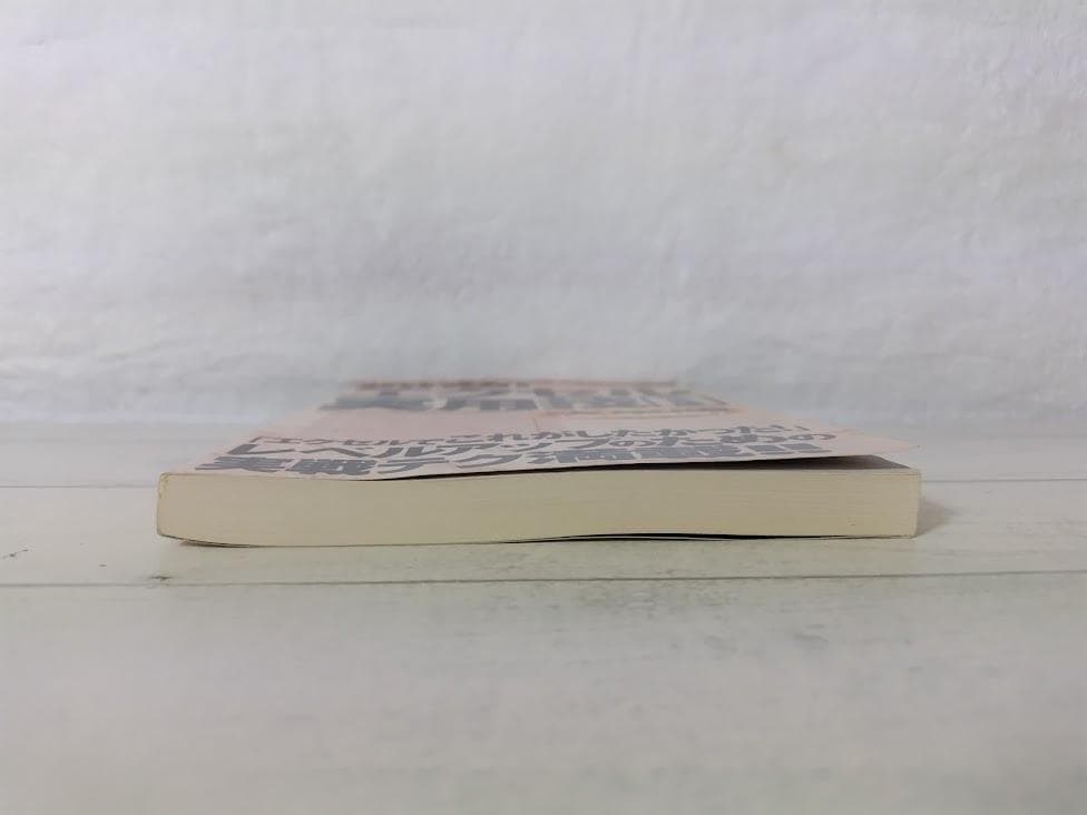 即効エクセル実用技 初・中級編 Microsoft Excel2000 gn