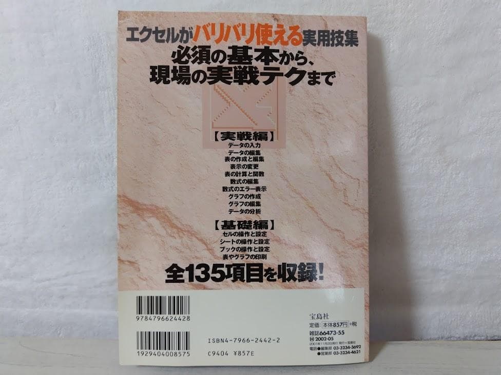 即効エクセル実用技 初・中級編 Microsoft Excel2000 gn