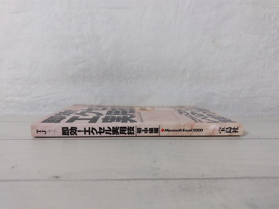 即効エクセル実用技 初・中級編 Microsoft Excel2000 gn