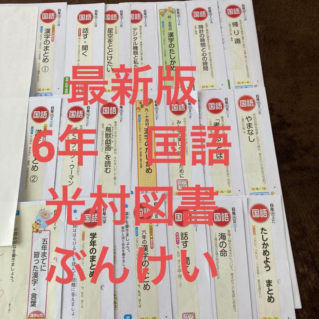 カラーテスト　6年生　国語　令和6年度　光村図書　ぶんけい
