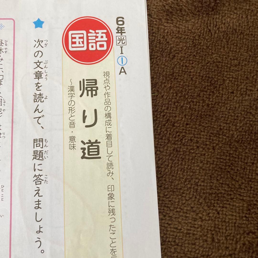 カラーテスト　6年生　国語　令和6年度　光村図書　ぶんけい