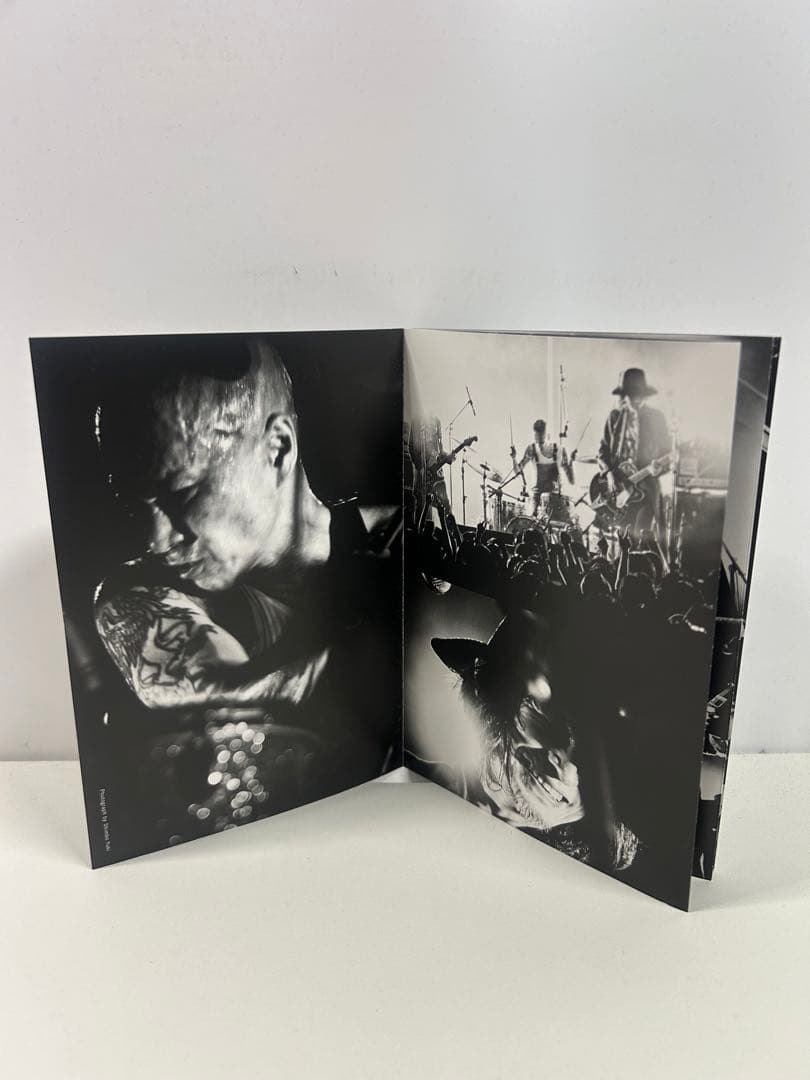 ミュージック THE GOLDEN WET FINGERS/BREAK THE SHELL