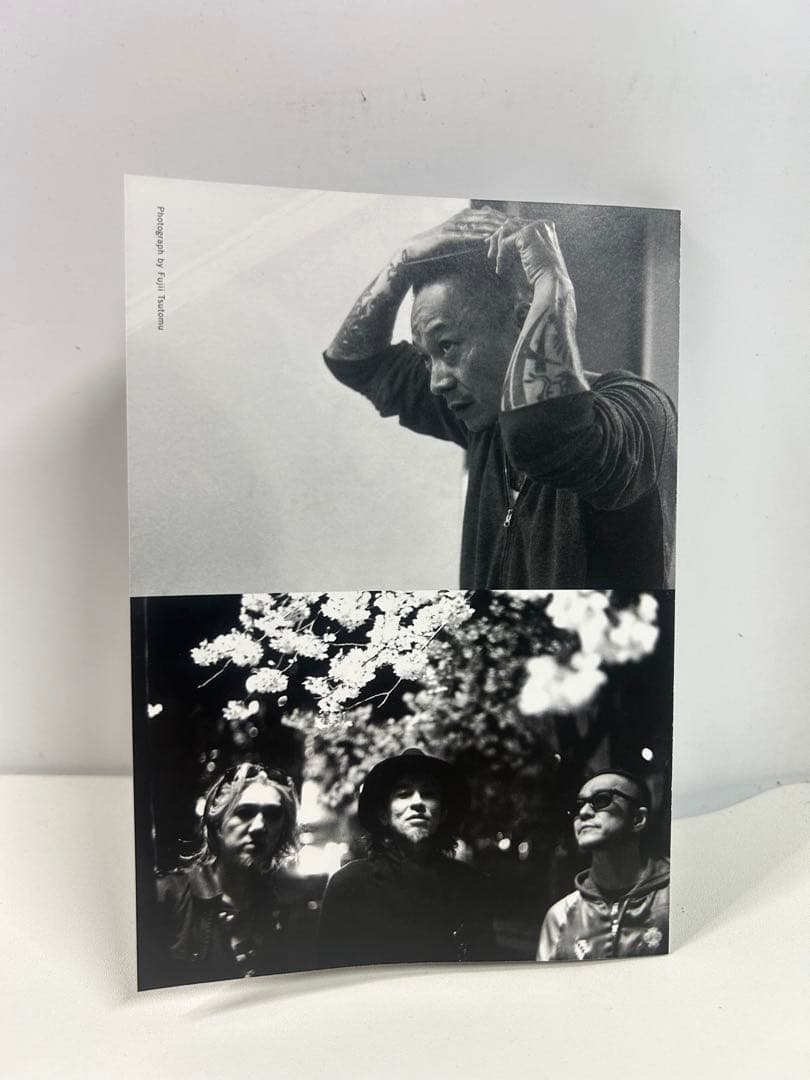 ミュージック THE GOLDEN WET FINGERS/BREAK THE SHELL