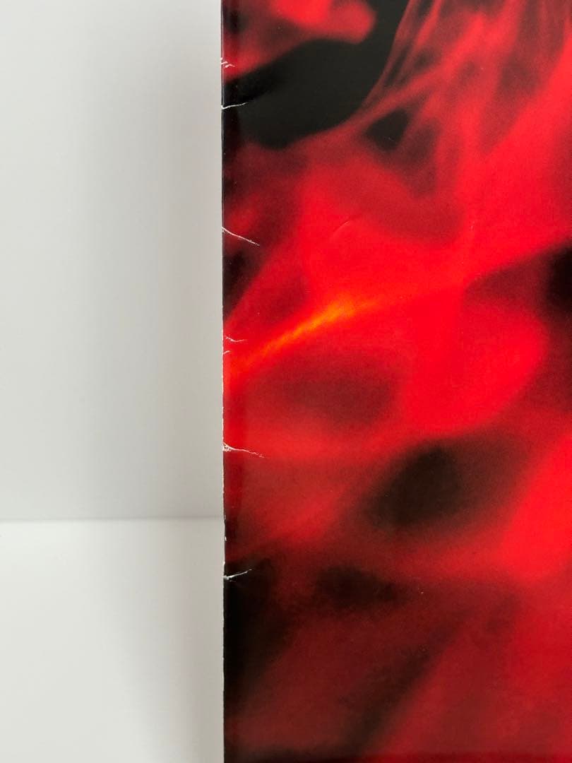 Pierrot ライブパンフレット