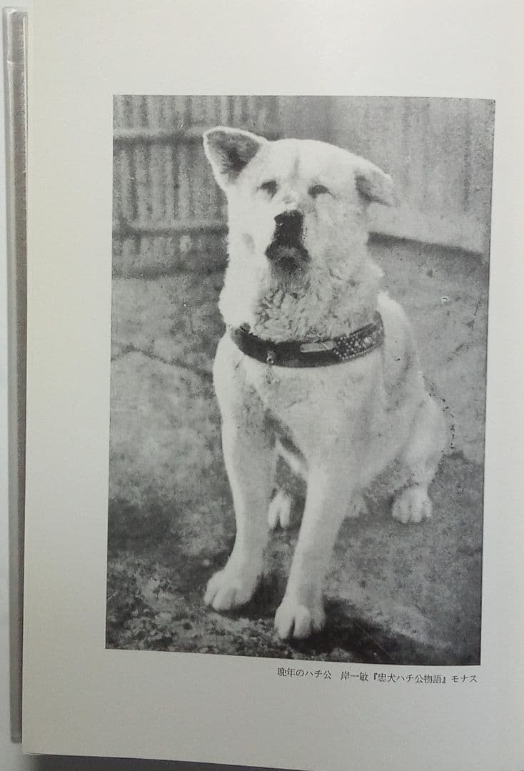 非売品）「ハチ公文献集」林正春編 1991年発行