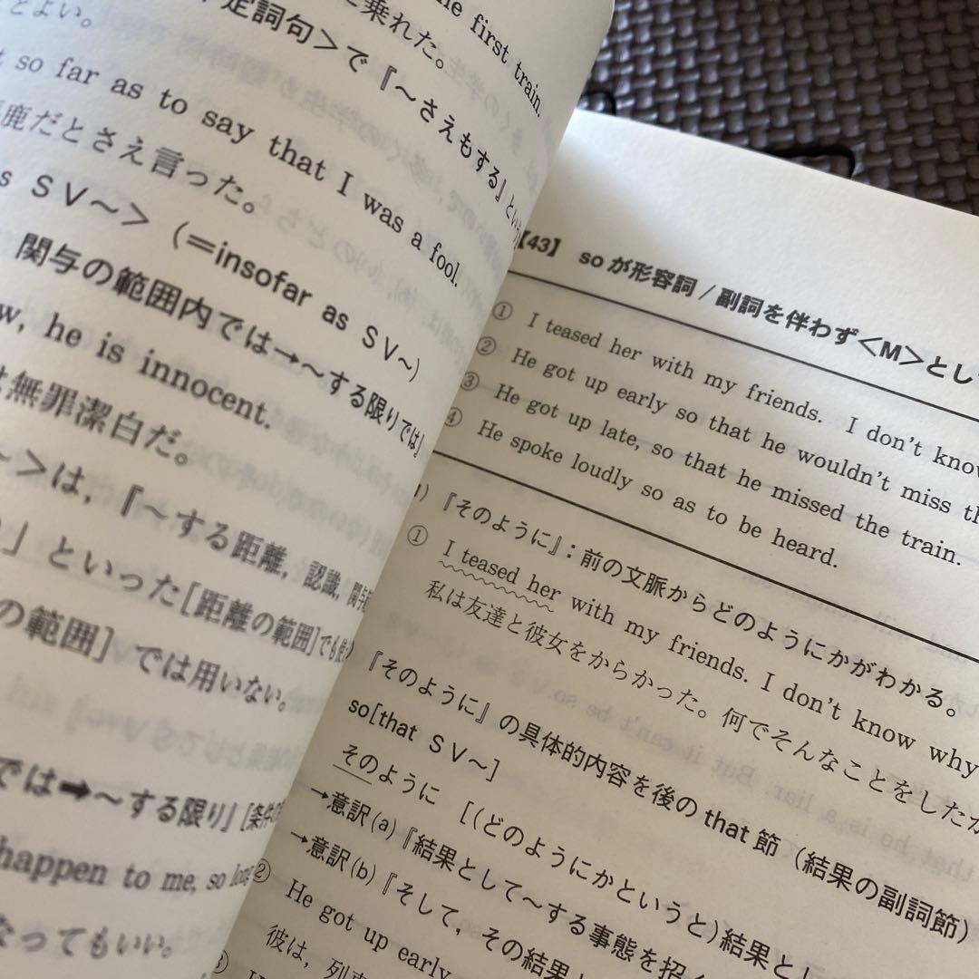 【佐々木流英文読解集大成】代ゼミテキスト 今、君のためにできること冬期直前講習会