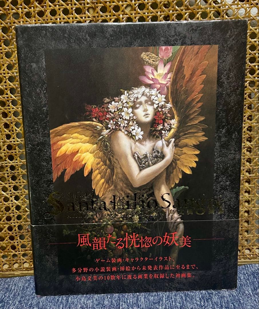 緋いユリ 小島文美画集 初版