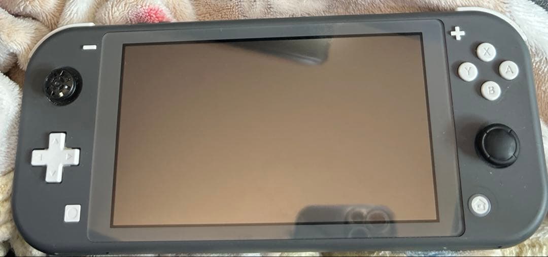 Nintendo Switch NintendoSwitchLight