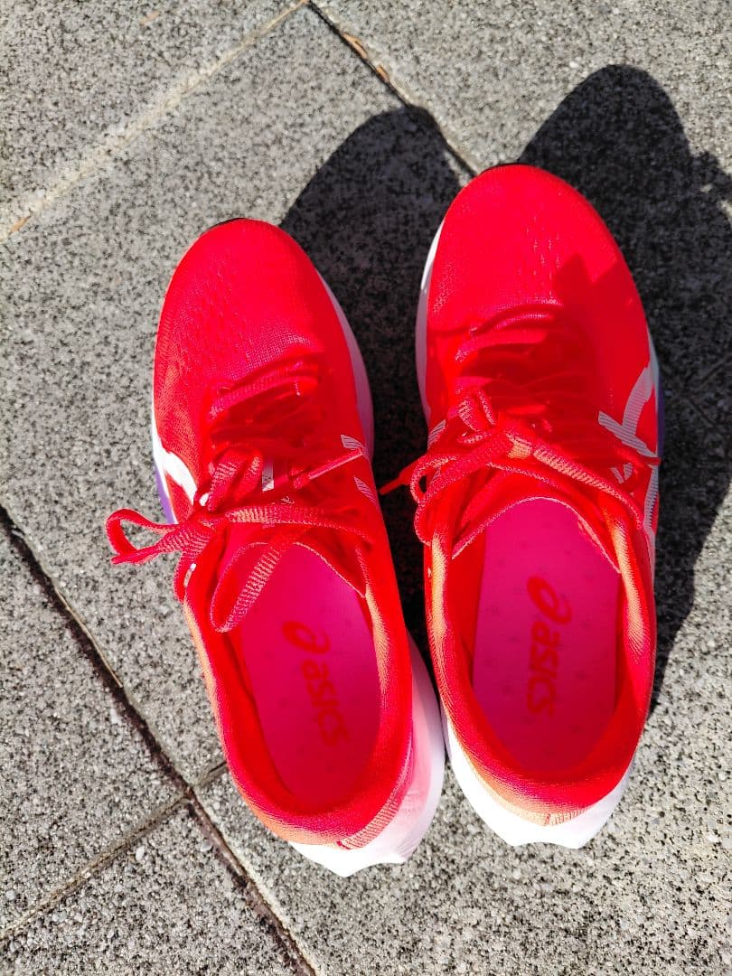 交渉可 ASICS マジックスピード4 25.0