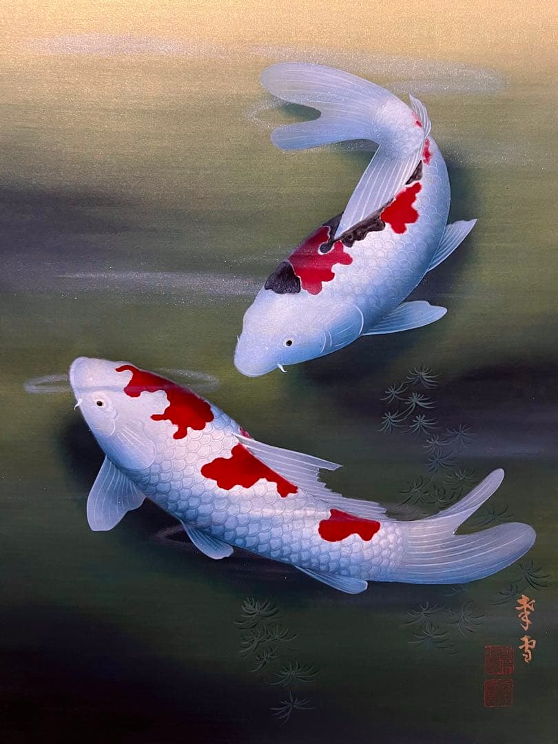 国井幸雪『遊鯉』 肉筆 共箱 日本画 掛け軸 掛軸 金泥 絵画 茶掛 錦鯉 こい